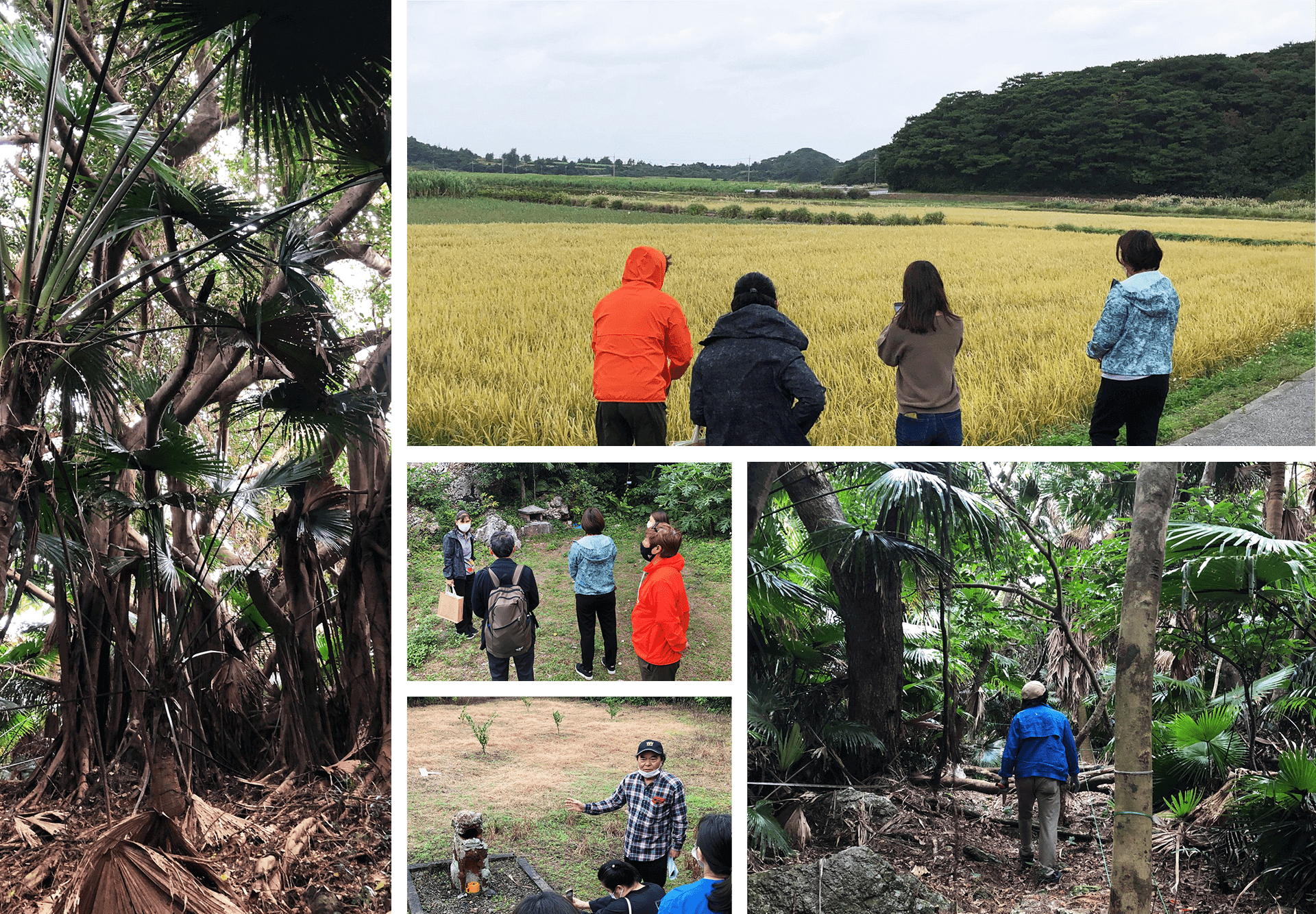 activities 集落散策で古き伝統にまみえる02