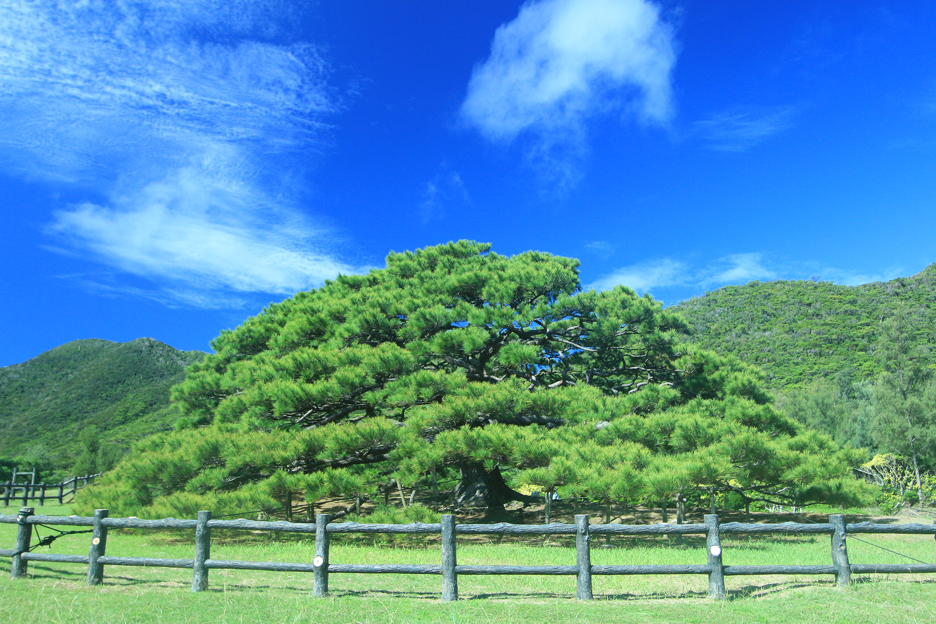 Sacred Places 神々の息吹が残る聖地ツーリズム02