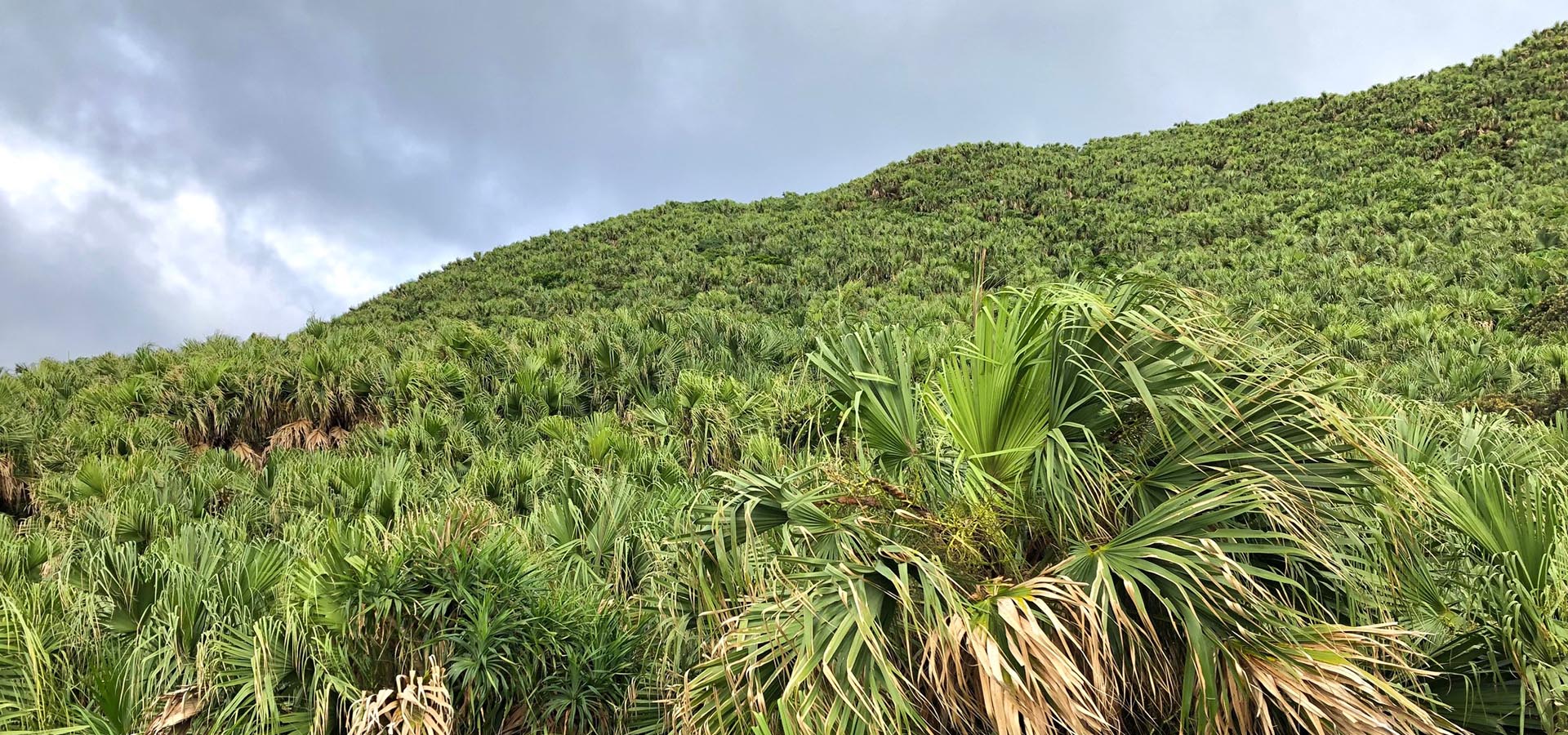 ツアープランイメージ